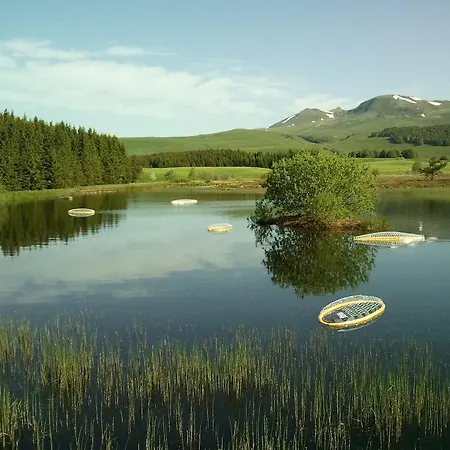 Aux Balcons Du Sancy Picherande