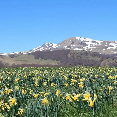 Aux Balcons Du Sancy 3*