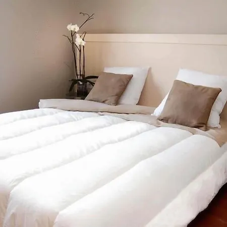 Aux Balcons Du Sancy