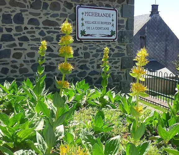 Aux Balcons Du Sancy Picherande